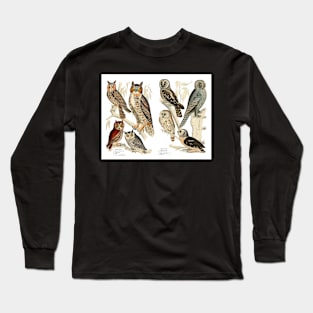 Owl Species - Vintage Print Long Sleeve T-Shirt